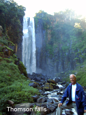 Thomson falls